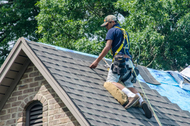 Quick and Trustworthy Emergency Roof Repair Services in Samson, AL